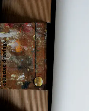 Jasper Krabbé - Zeefdruk en boek in cassette kopen? Bied vanaf 250!