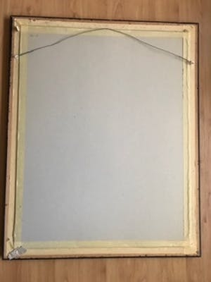 Hisako Viruly Abe - Plants en butterflies kopen? Bied vanaf 30!