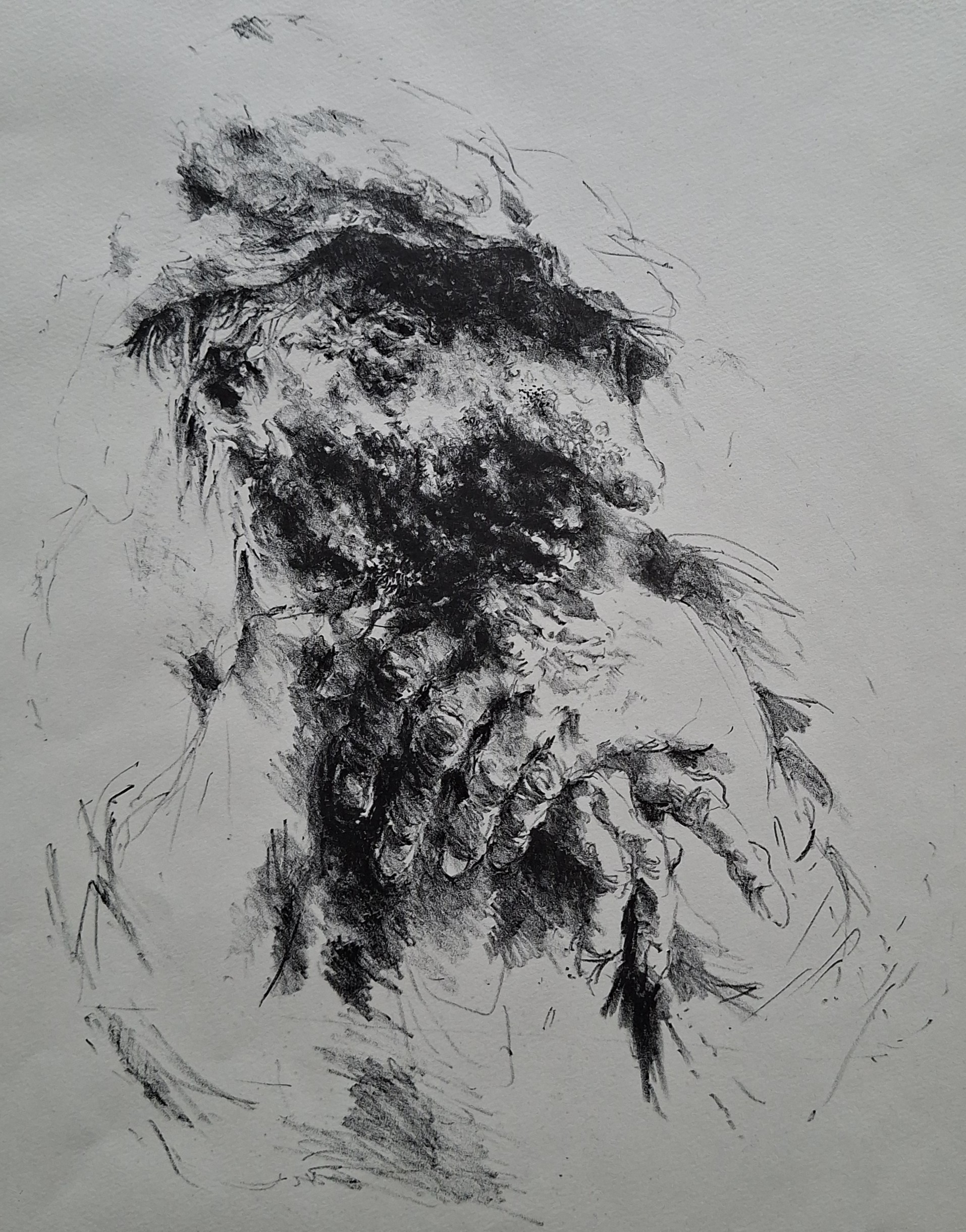 Buy Jan Mensinga - gesigneerde litho? Bid from 20!