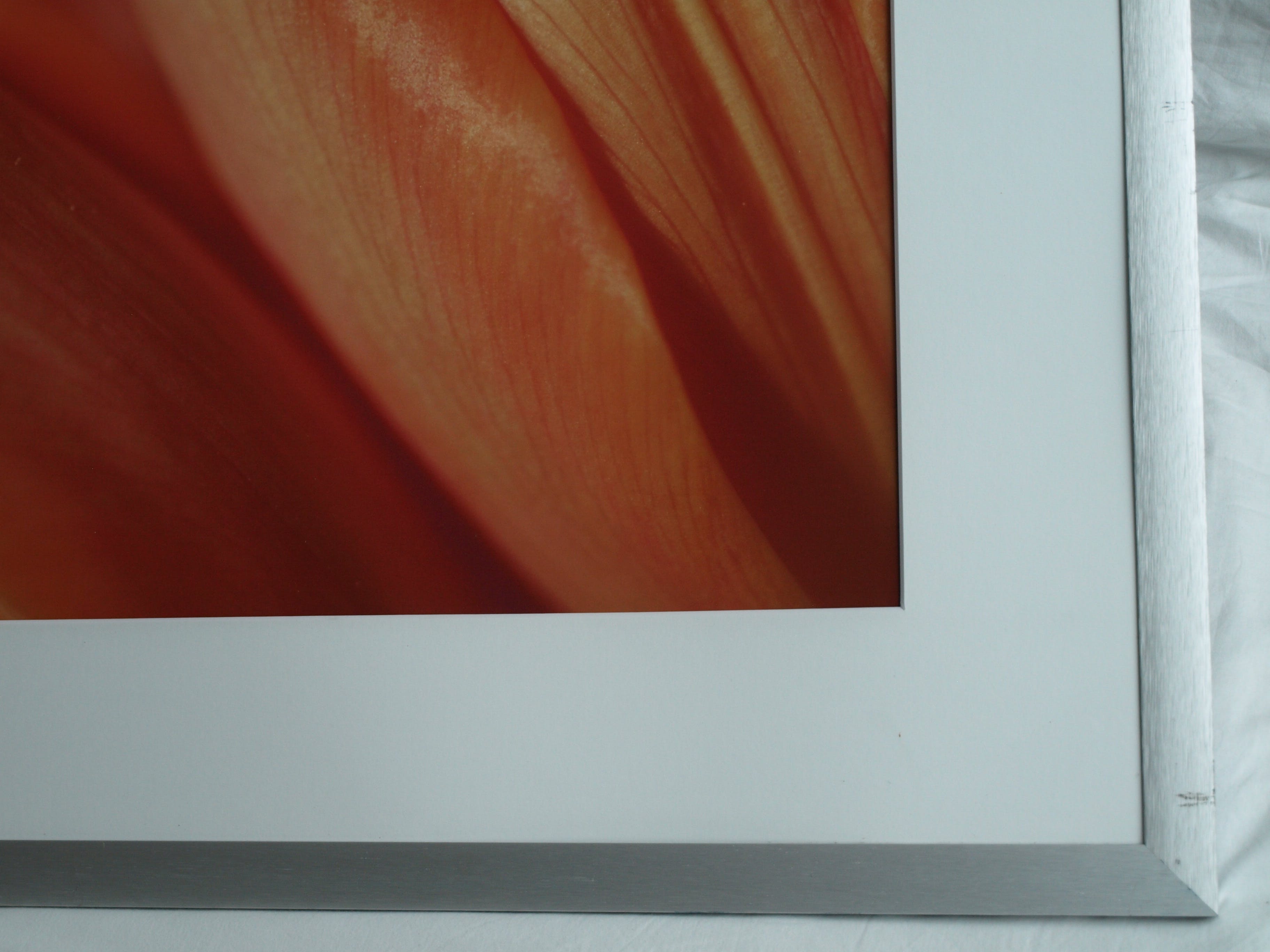 Niet of onleesbaar gesigneerd - Foto , Close-up – ingelijst  kopen? Bied vanaf 1!