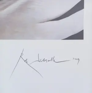 Rob Scholte - Sprookjes, zeefdruk (groot!) kopen? Bied vanaf 175!