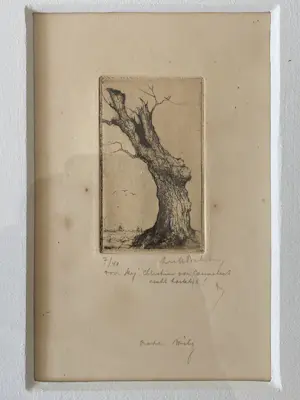 Dirk Baksteen - Rode Wilg kopen? Bied vanaf 40!