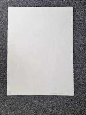Buy Robert Zandvliet - Grote kleuren-lithografie "Fly-over series" - beperkte oplage - in nieuwstaat!? Bid from 268!