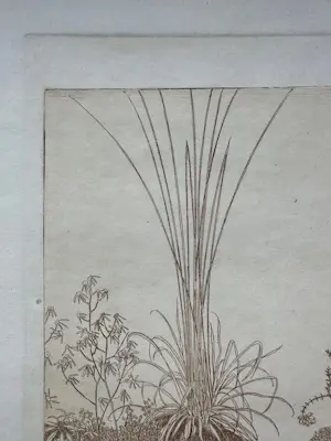 Jan Mankes - Ets vier muizen - Gesigneerd - 1918 kopen? Bied vanaf 440!