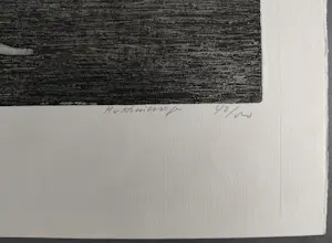 Harry van Kruiningen - Edgar Allan Poe De put en de slinger I - Gesigneerde ets kopen? Bied vanaf 89!