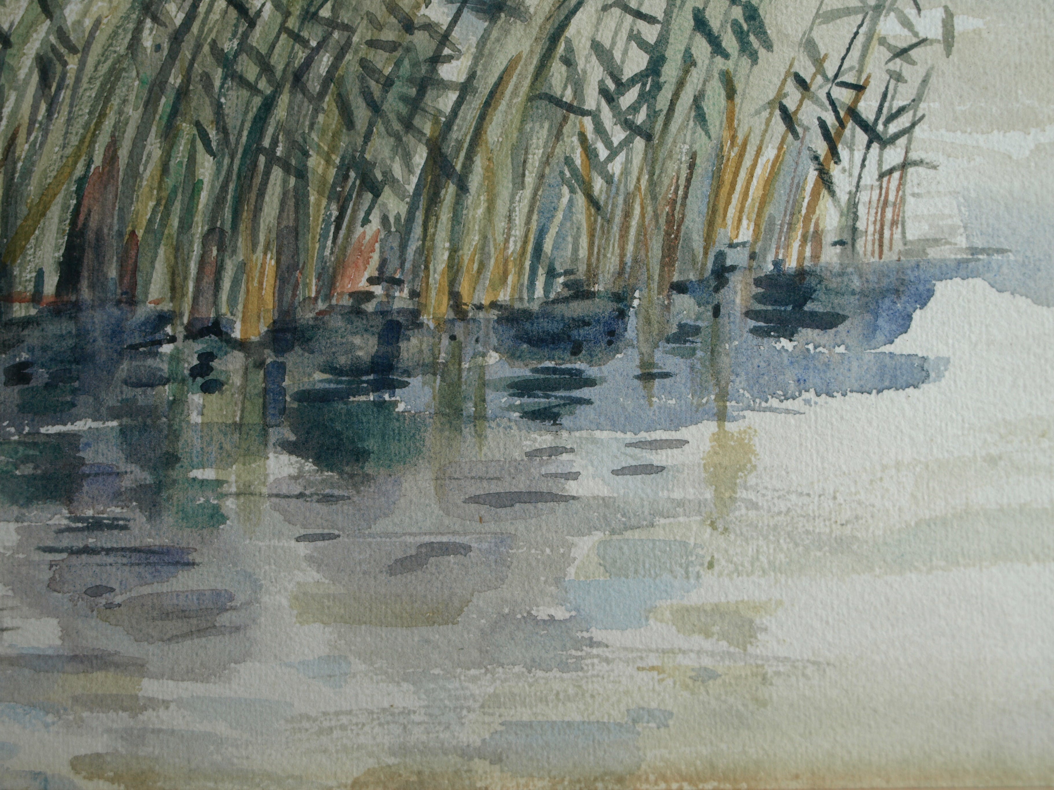 Niet of onleesbaar gesigneerd - Aquarel , Rietkraag – Watergezicht - gesigneerd & ingelijst – 1964  kopen? Bied vanaf 1!