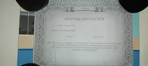 David Hockney - After "A bagger splash" kopen? Bied vanaf 300!