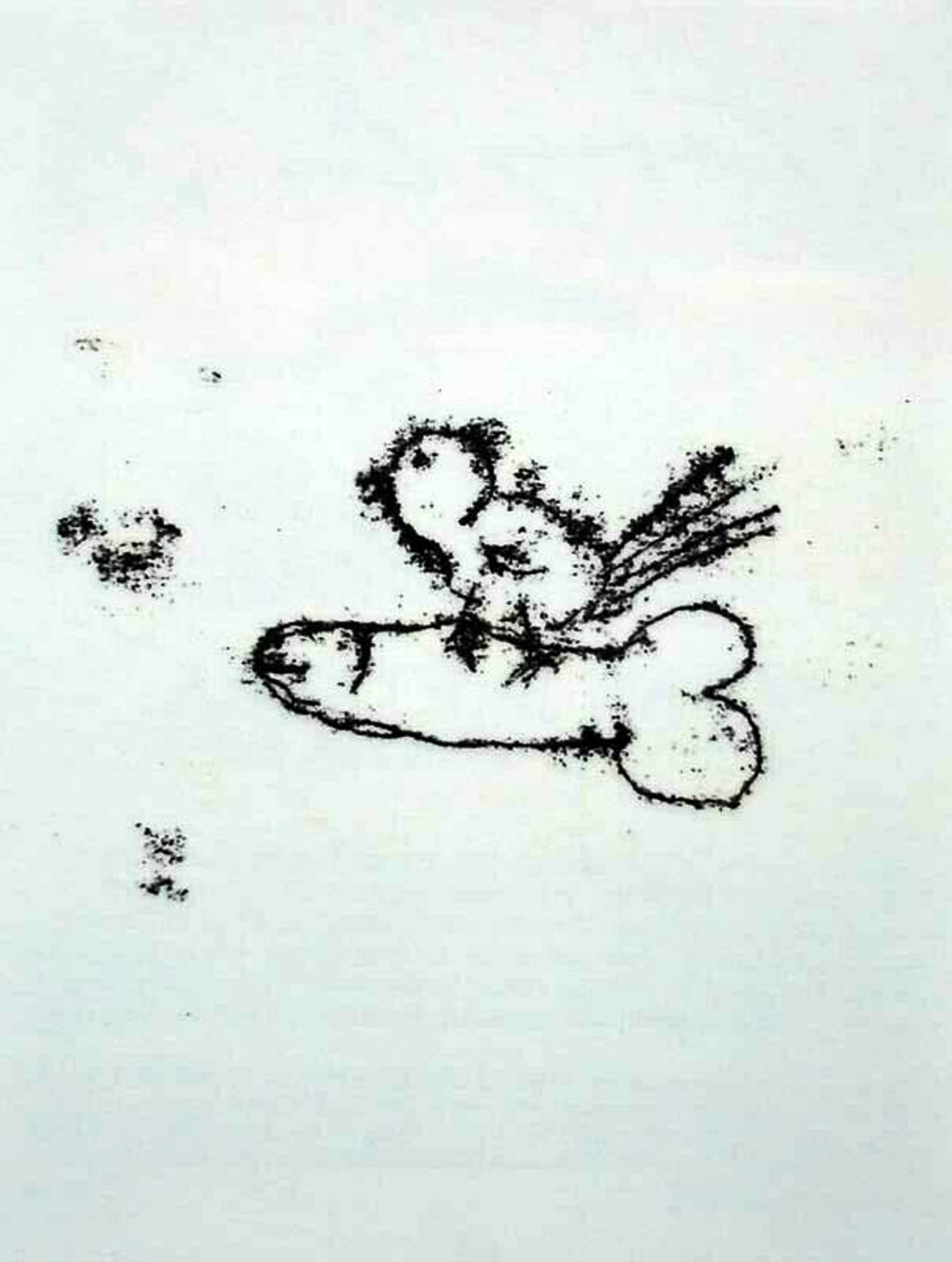 Tracey Emin - Singing Bird - Tattoo 2007 - verso druksign. Laatste kans vanaf € 1,= verkocht voor € 1!