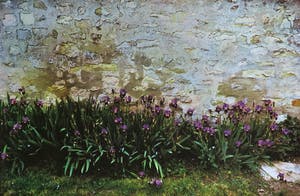 Paul Huf - Foto, Irissen - Ingelijst kopen? Bied vanaf 1!