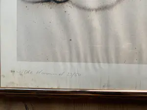 Mario Reis - Die wilde Hummel kopen? Bied vanaf 50!