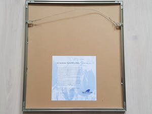 Gert van Reenen - Zeefdruk - Gesigneerd 2002 kopen? Bied vanaf 25!