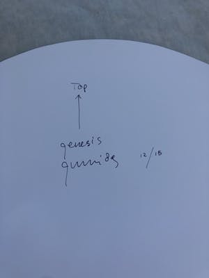 Reggy Gunn - Genesis (ovaal) kopen? Bied vanaf 95!