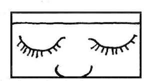 Co Westerik - Kijken met je ogen dicht kopen? Bied vanaf 75!