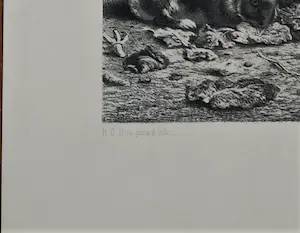 Gerardus Johannes Bos - Litho van konijnen - in een hoogwaardige lijst kopen? Bied vanaf 40!