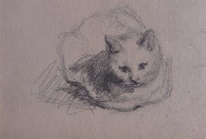 Niet of onleesbaar gesigneerd - Grafiet, Schets van een zittende kat kopen? Bied vanaf 1!
