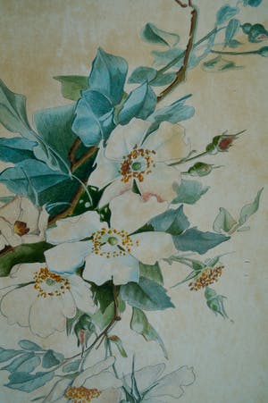 Niet of onleesbaar gesigneerd - 3 aquarellen in jugendstil kopen? Bied vanaf 1!