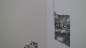 Peter Vos - oude man tussen mussen kopen? Bied vanaf 75!