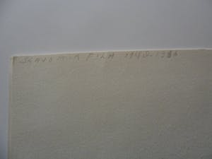 Slavomir Fila - Inkt/Pastel. Titel, "Leven ". kopen? Bied vanaf 10!