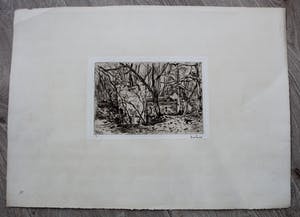 Willem de Zwart - ets kopen? Bied vanaf 39!