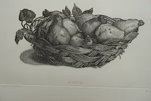 Willem Minderman - MANDJE MET PEREN kopen? Bied vanaf 40!