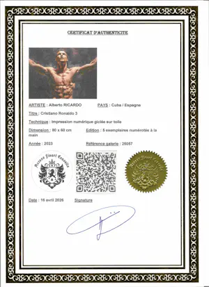 Alberto Ricardo - Cristiano Ronaldo 3 kopen? Bied vanaf 170!