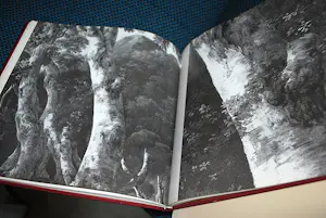 Jacob van Ruisdael - 2 hardcover boeken kopen? Bied vanaf 45!