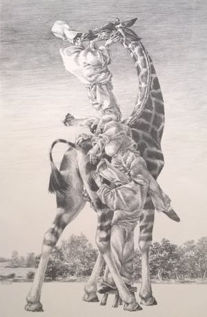 Peter Vos - Gevoelens - gesigneerde litho kopen? Bied vanaf 250!