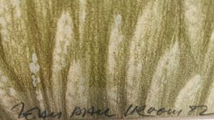 Jean Paul Vroom - Korenveld kopen? Bied vanaf 55!