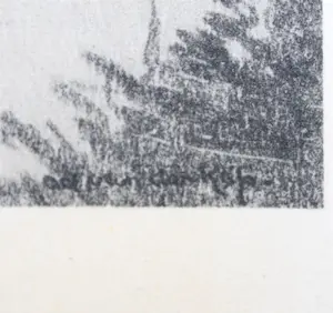 Ad van der Kop - Riviertjes bij Gulpen Limburg, winter - 2 litho's, in passepartout en lijst kopen? Bied vanaf 20!