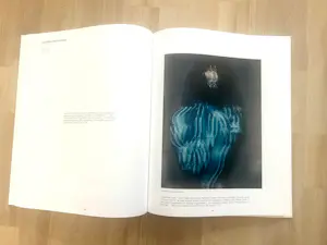 Buy Rei Kawakubo - Andrew Bolton / Comme des Garçons – Art of the In-Between First Printing? Bid from 99!