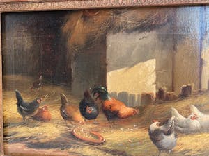 Jef Van Leemputten - Kippen in de staal kopen? Bied vanaf 400!