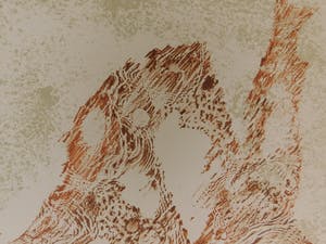 Dang Lebadang - Les Zèbres II kopen? Bied vanaf 25!