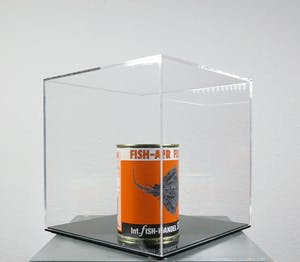 Servaas - Twee blikken met Fish Air in plexiglazen kubus, Int. Fish-handel Servaas & Zn. kopen? Bied vanaf 1!