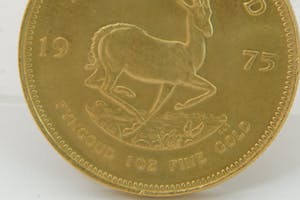 2440- Massief 0.917/1000 geel-gouden MUNT - Zuid-Afrika - Krugerrand - 1975 kopen? Bied vanaf 1260!