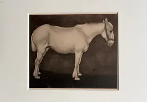 Jan Mankes - Originele Heliogravure Wit Paard 1923 kopen? Bied vanaf 165!