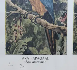 Rob Scholte - Handgesigneerde offset/zeefdruk | 'Ara' | 1992 kopen? Bied vanaf 150!