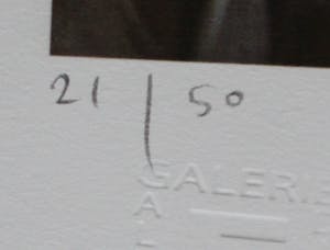 Willi Kissmer - Giclee: Het groene jasje - 2015 kopen? Bied vanaf 125!