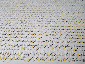 Jan Hein van Rooy - fraai portfolio met 2 Litho's "Westakker" en "Oostakker" - gesigneerd kopen? Bied vanaf 54!