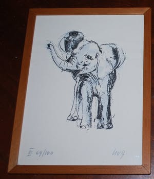 Fritz Rudolf Hug - kleurenlitho van een olifant kopen? Bied vanaf 30!
