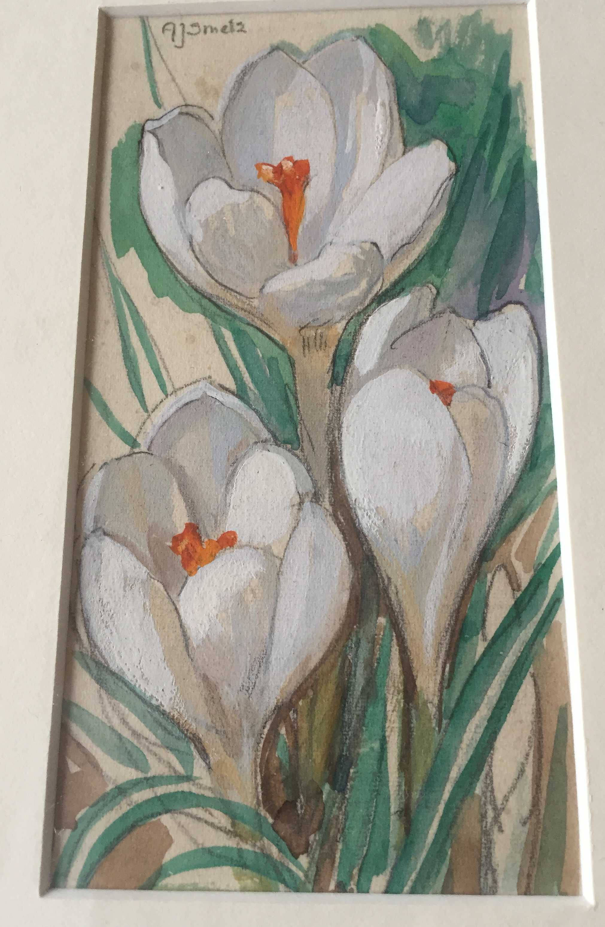Alberta Johanna Meijer-Smetz - witte crocusjes verkocht voor € 65!