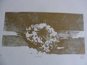 Astrid van Leest - Kleuren ets, Titel, "Chrysant". kopen? Bied vanaf 15!