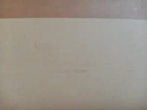 Niet of onleesbaar gesigneerd - Prachtige tekening Staatsopera Wenen kopen? Bied vanaf 1!