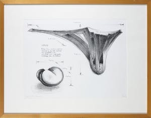 Twan van de Vorstenbosch - Litho, Ontwerp - Ingelijst kopen? Bied vanaf 1!