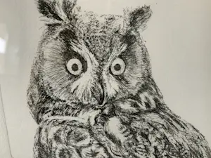 Mary Plantenga - “Knap Uiltje” kopen? Bied vanaf 20!