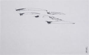 Melle Oldeboerrigter - Inkttekening op papier, z.t. Insecten kopen? Bied vanaf 80!