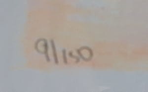 Wil Willemsen - Onder Onsje kopen? Bied vanaf 20!