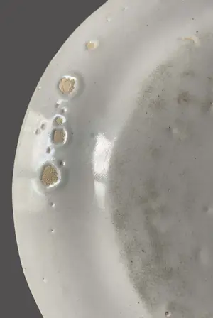 Desvres - Antiek faience bord in Delftse stijl – Desvres (Frankrijk), ca. 1860–1880 kopen? Bied vanaf 70!