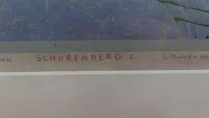 Siemen Dijkstra - Zomerbos kopen? Bied vanaf 1500!