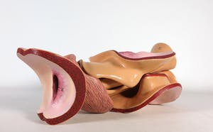 Merijn Bolink - Beschilderd polyester, The Pentasexual System (incl. gesigneerd boek) kopen? Bied vanaf 50!