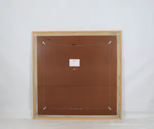 Onno de Graaf - Kat en vogels kopen? Bied vanaf 100!